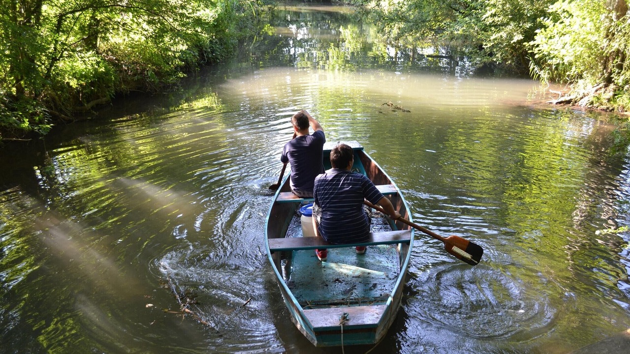 Photo of Others in Cherigne