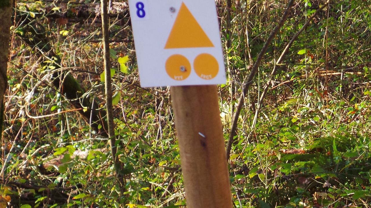 Photo of Outdoor in Ecuras