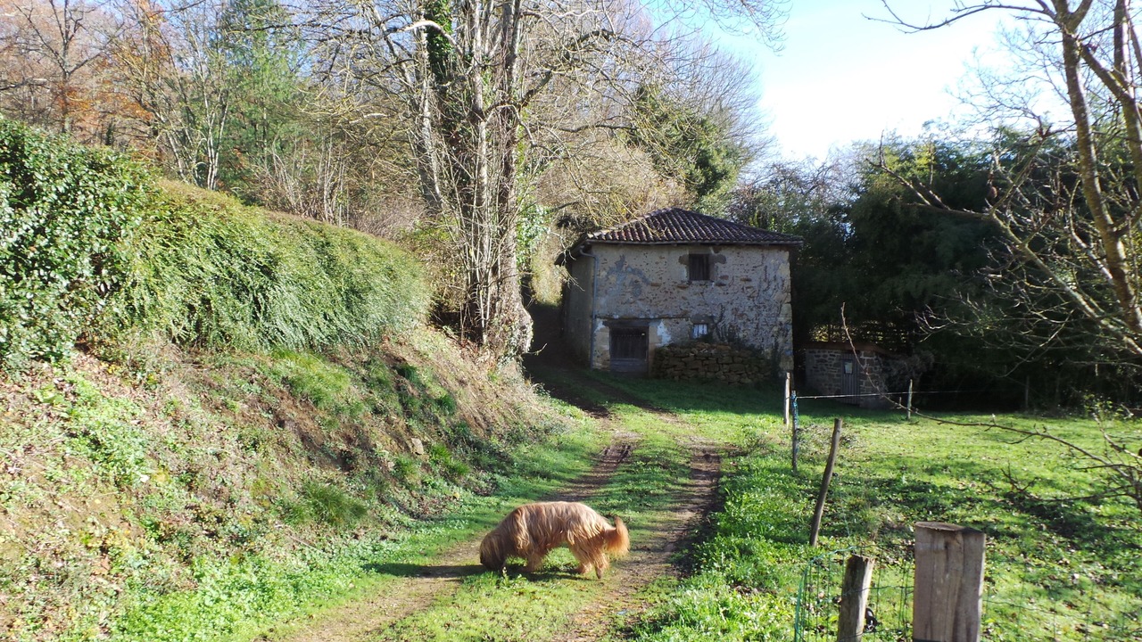Photo of Outdoor in Ecuras