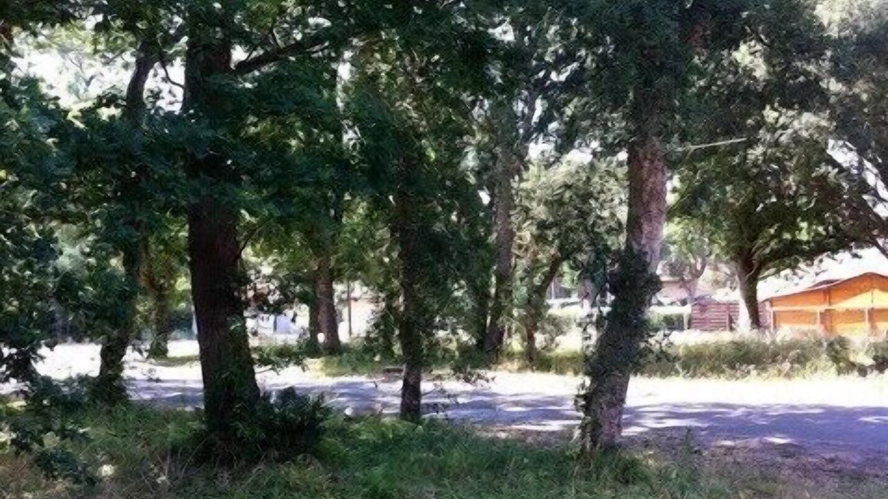 Photo of Outdoor in Vieux-Boucau-les-Bains