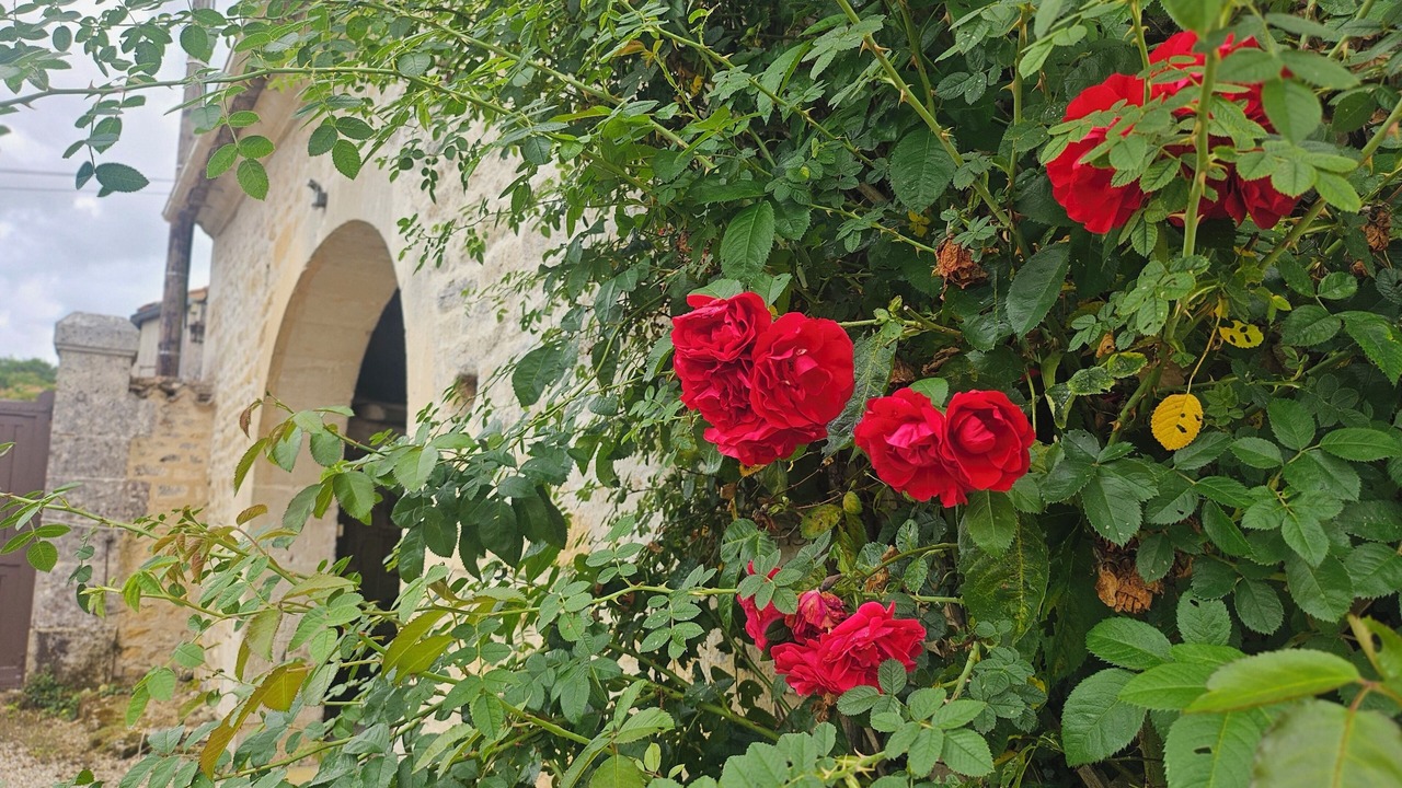 Photo of Outdoor in Moulidars