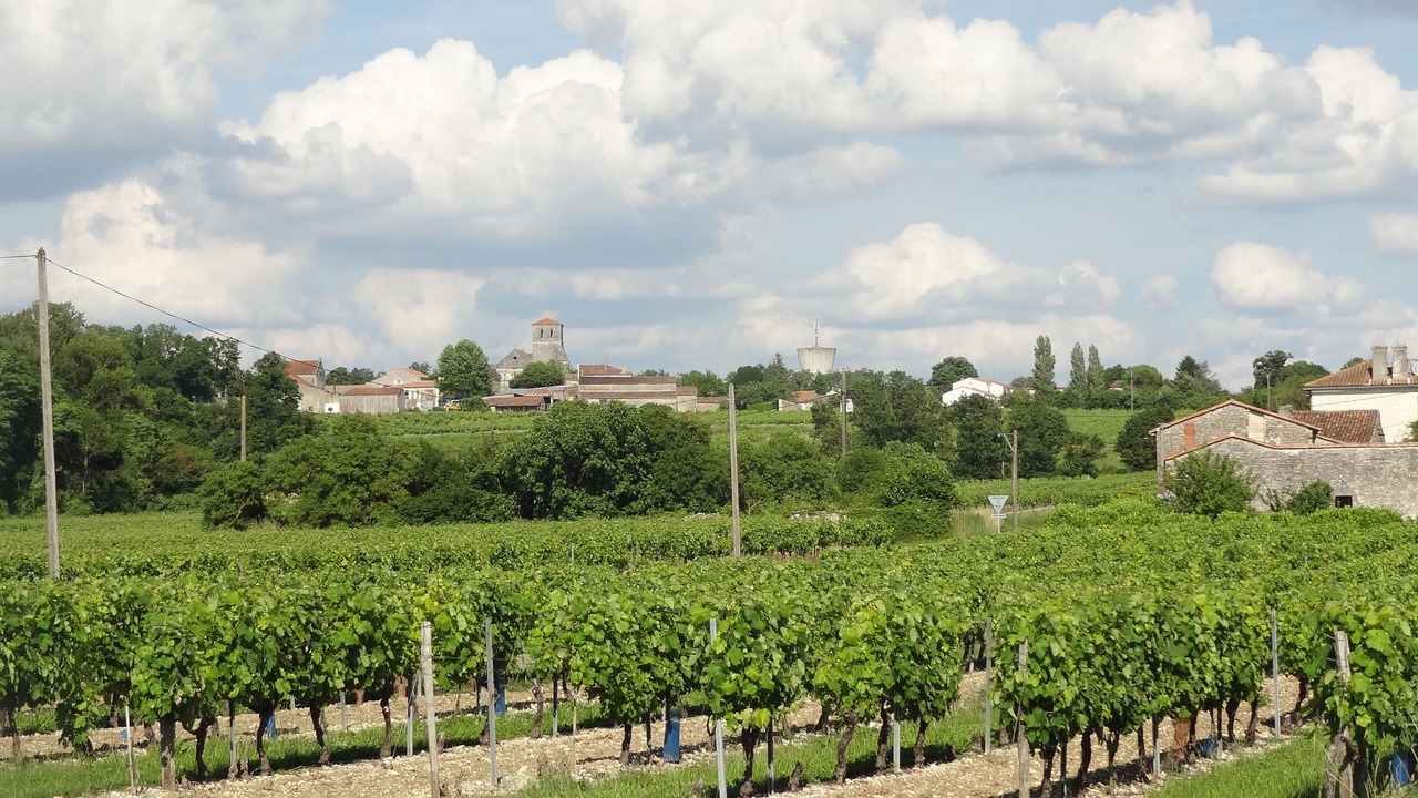 Photo of Outdoor in Moulidars