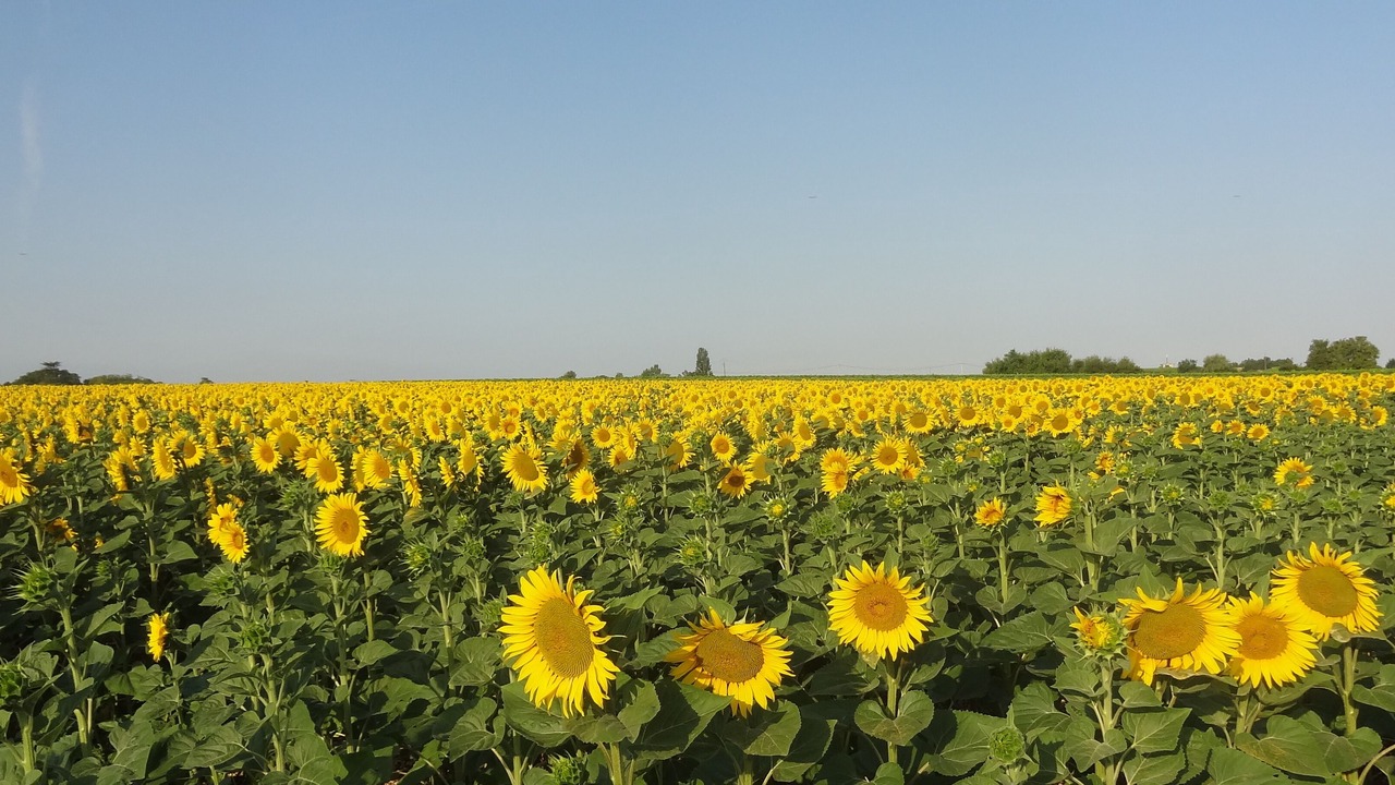 Photo of Outdoor in Moulidars