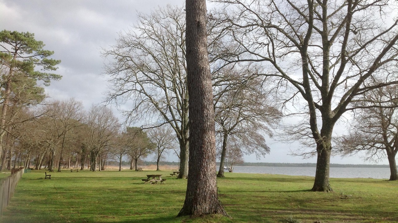 Photo of Others in Lacanau-Ocean
