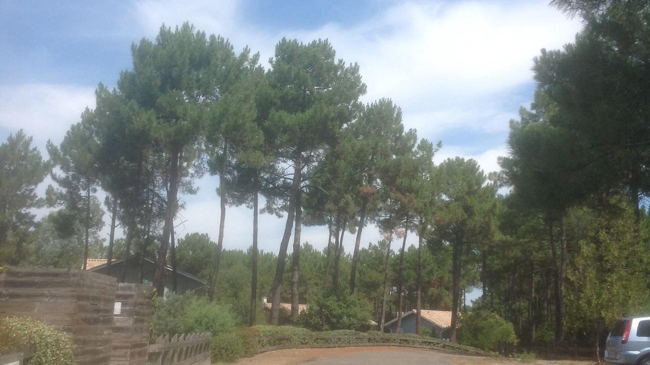 Photo of Others in Lacanau-Ocean