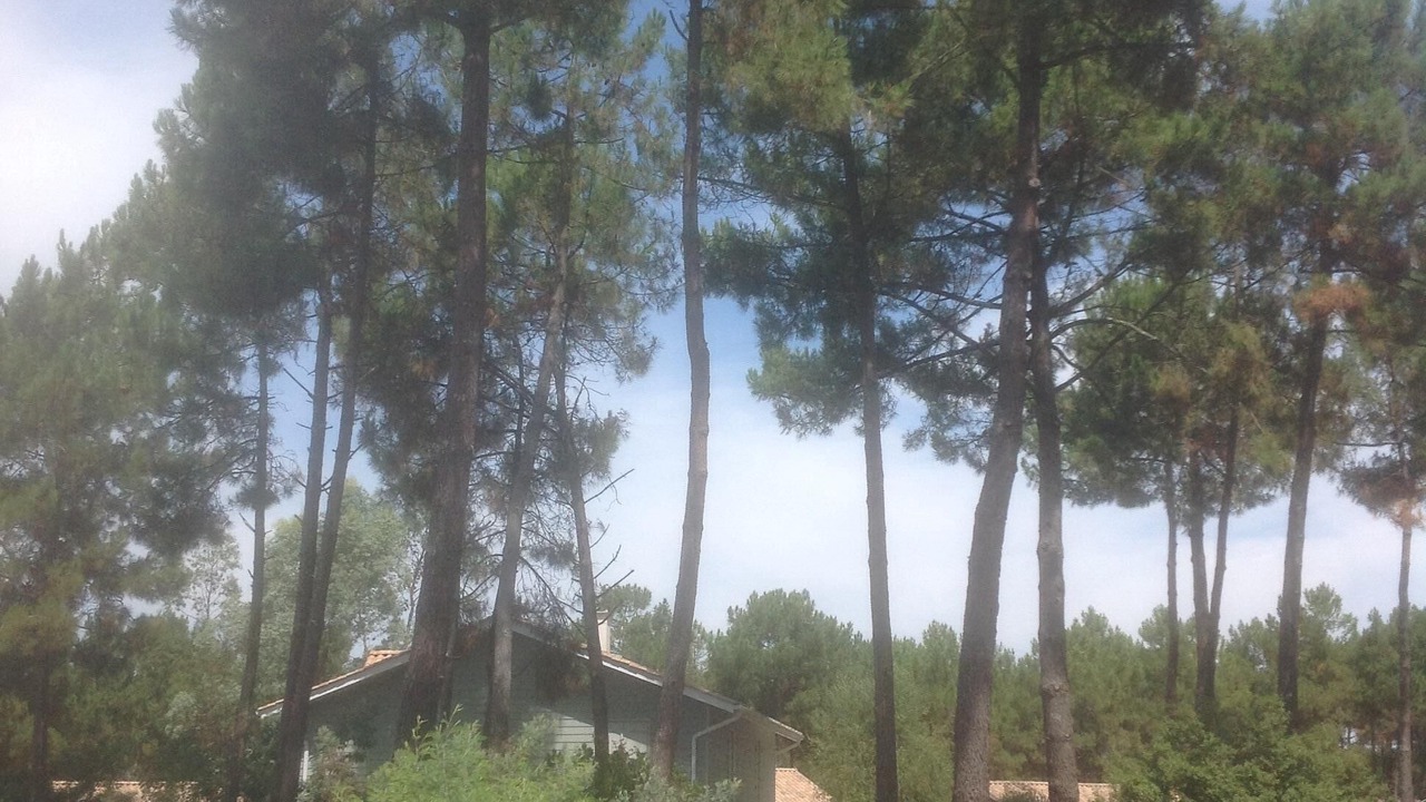 Photo of Outdoor in Lacanau-Ocean