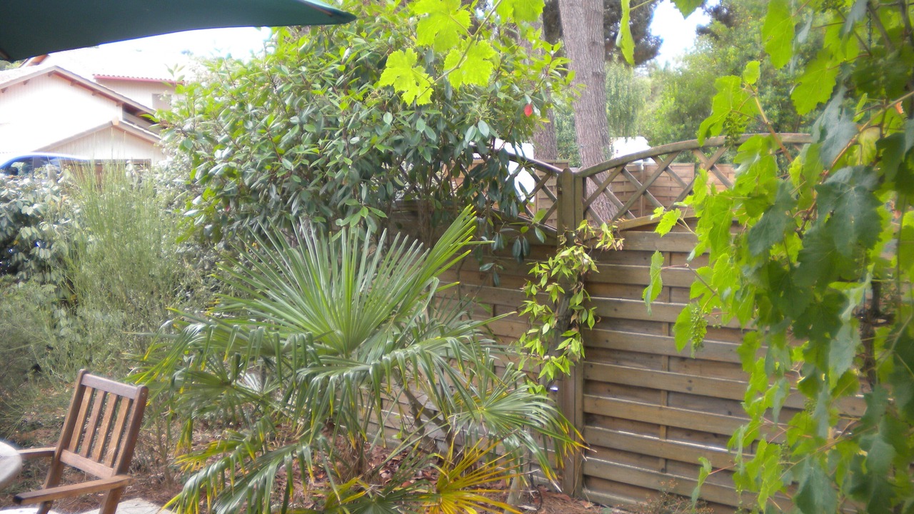 Photo of Outdoor in Lacanau-Ocean