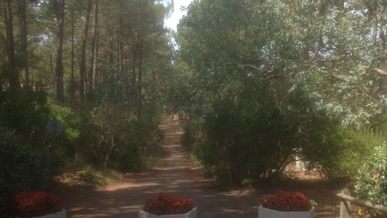 Photo of Others in Lacanau-Ocean