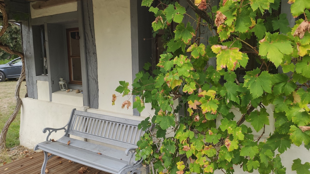 Photo of Outdoor in Vielle-Saint-Girons
