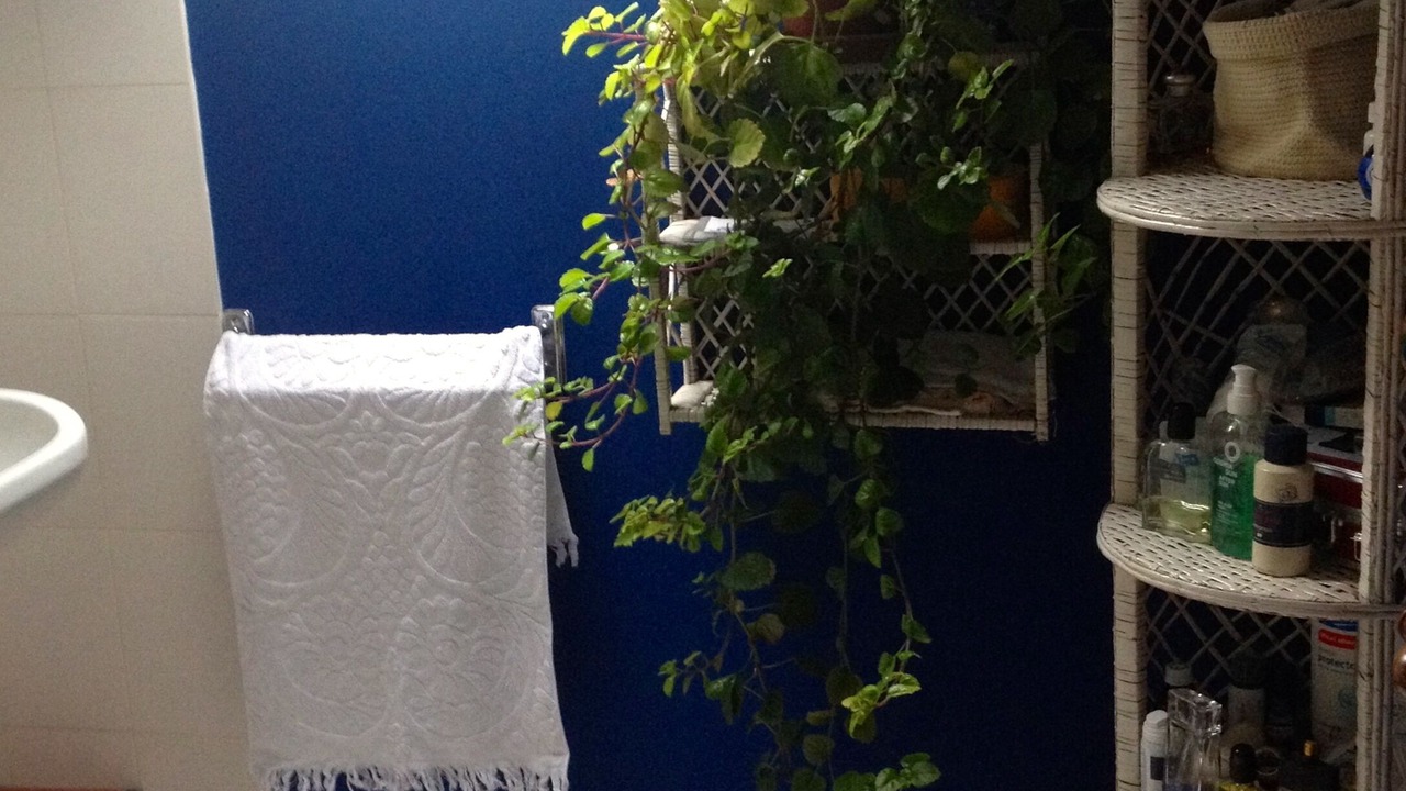 Photo of Bathroom in Hendaye