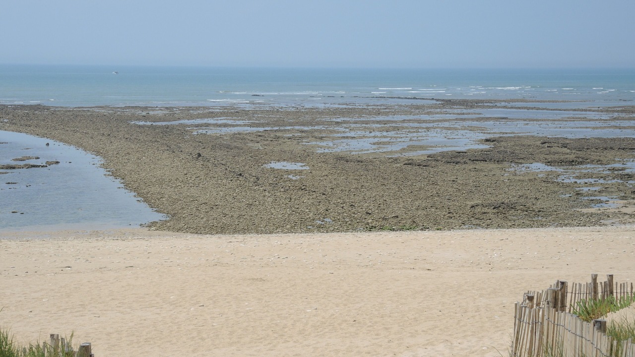 Photo of Others in Ars-en-Re