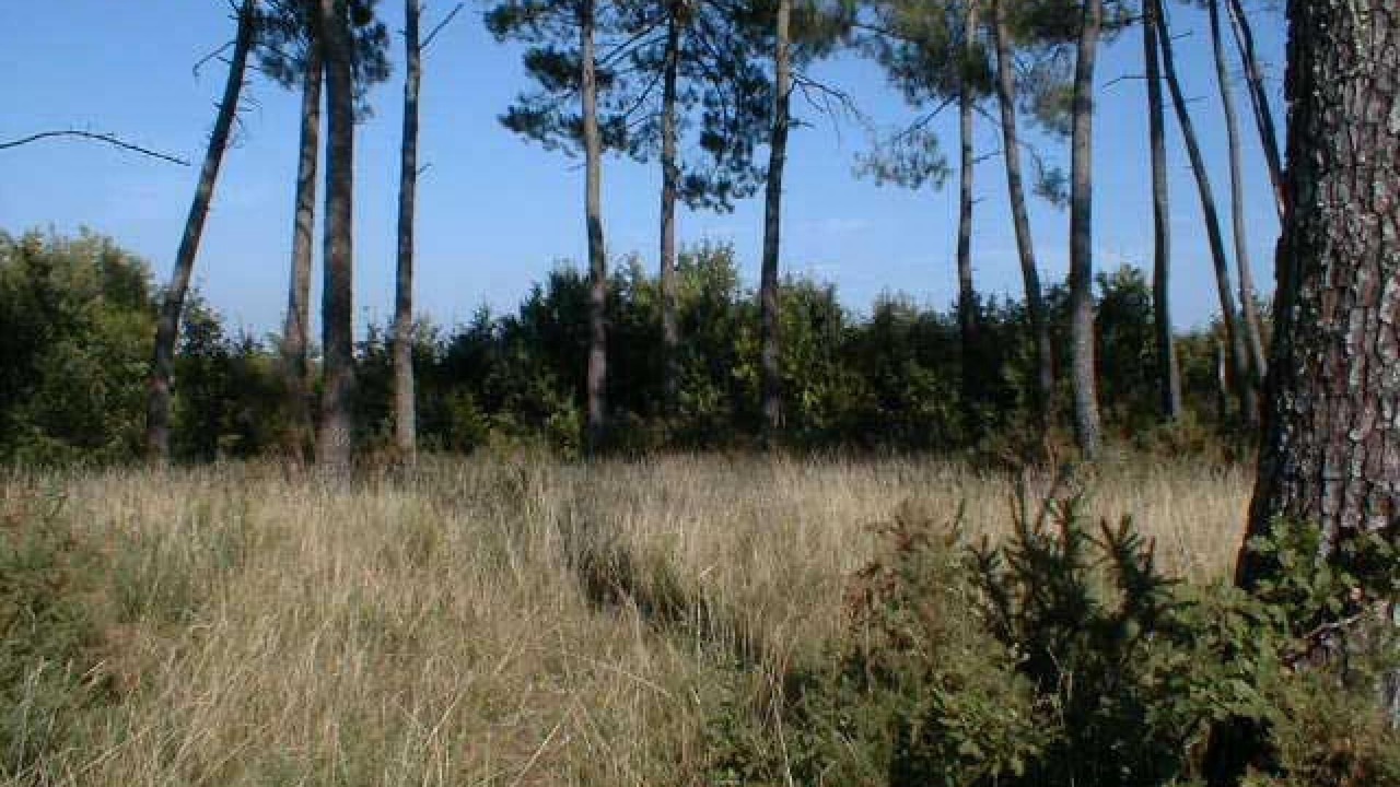 Photo of Outdoor in Gontaud