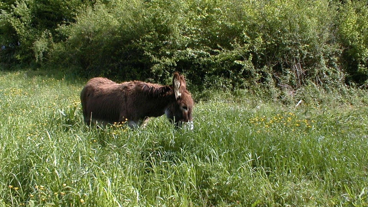 Photo of Outdoor in Gontaud