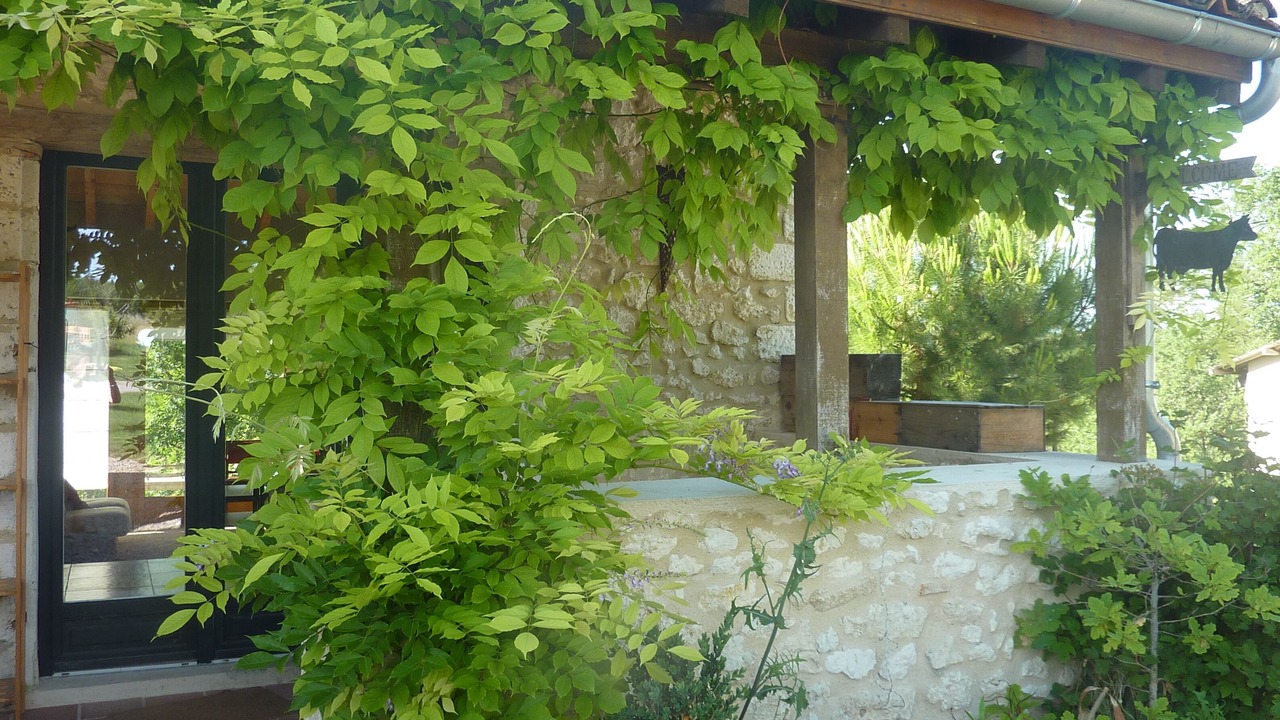 Photo of Outdoor in Gontaud