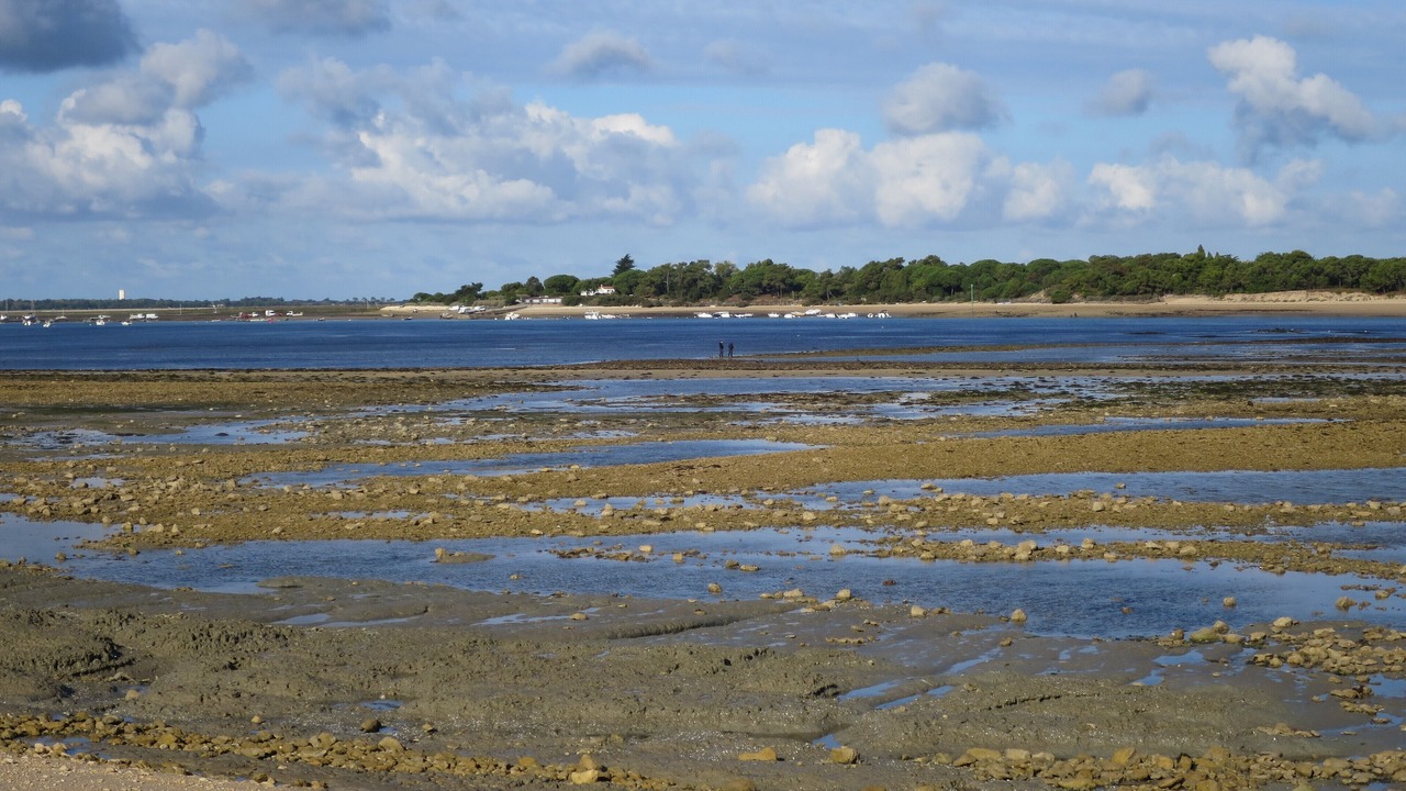Photo of Others in Loix