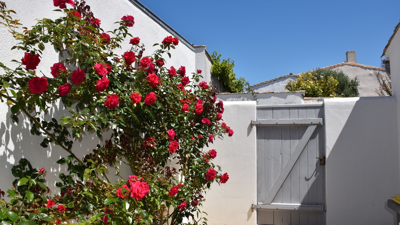 Photo of Outdoor in Loix