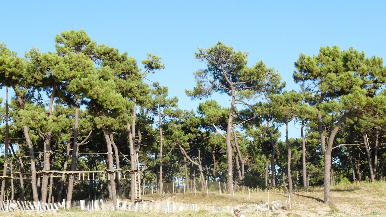 Photo of Others in Corme Ecluse