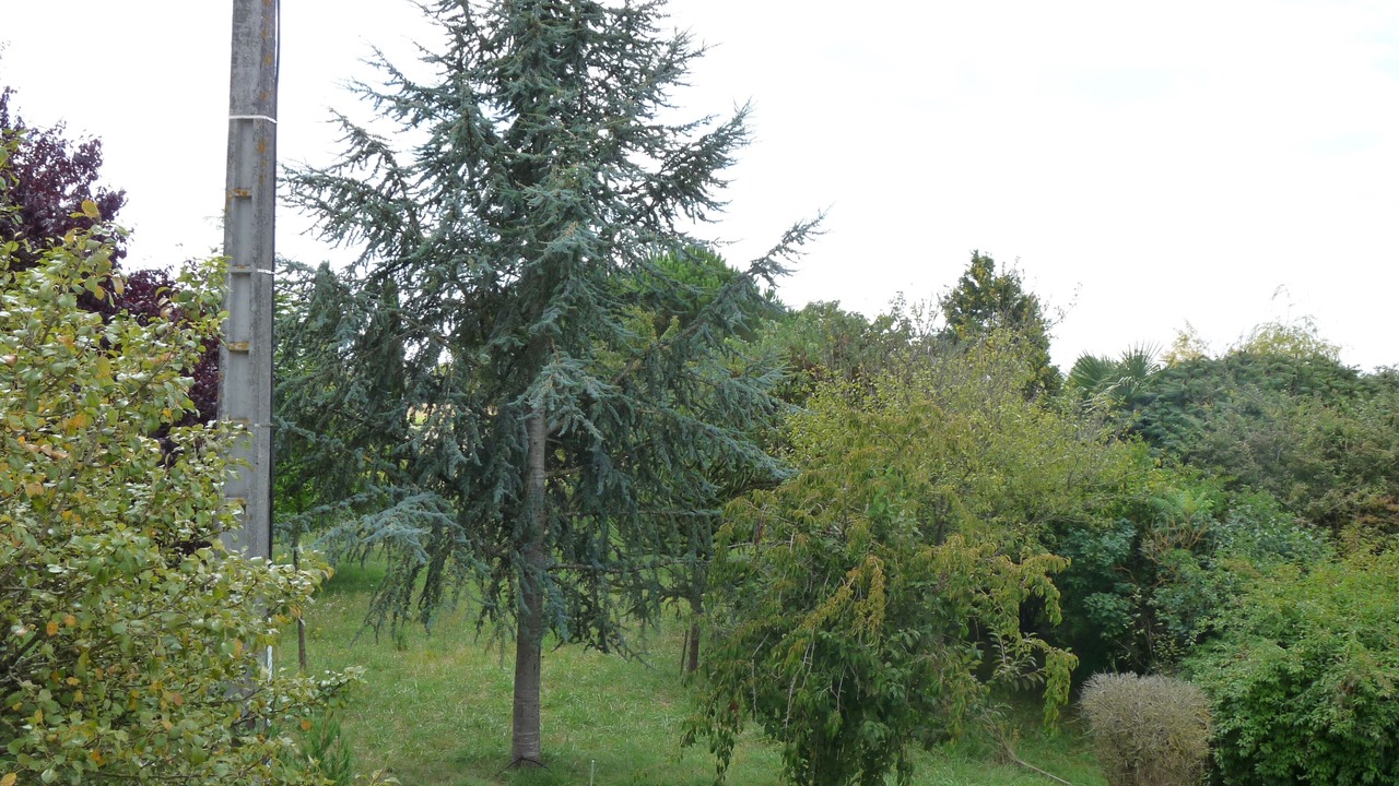 Photo of Outdoor in Corme Ecluse