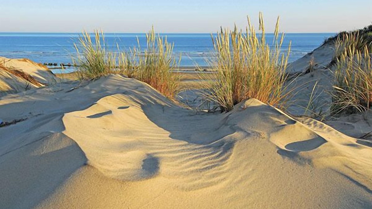 Photo of Others in Lege-Cap-Ferret