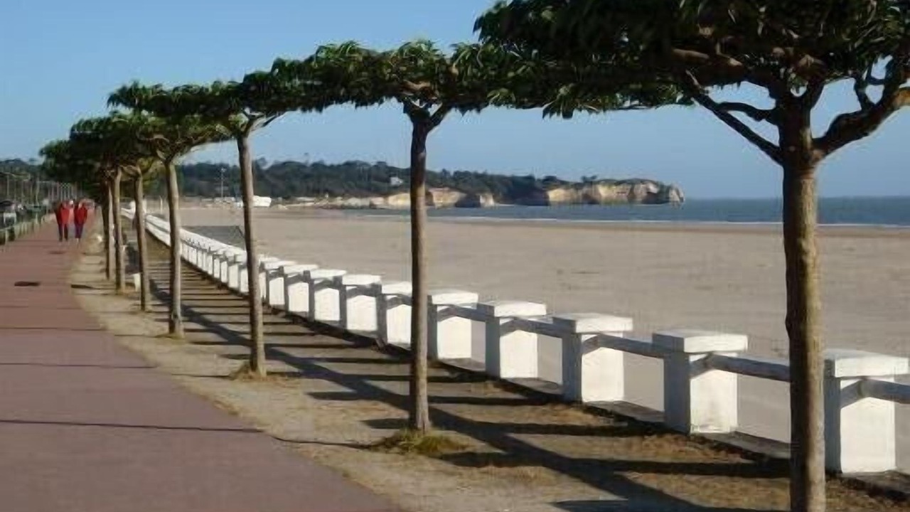 Photo of Others in Saint-Georges-de-Didonne