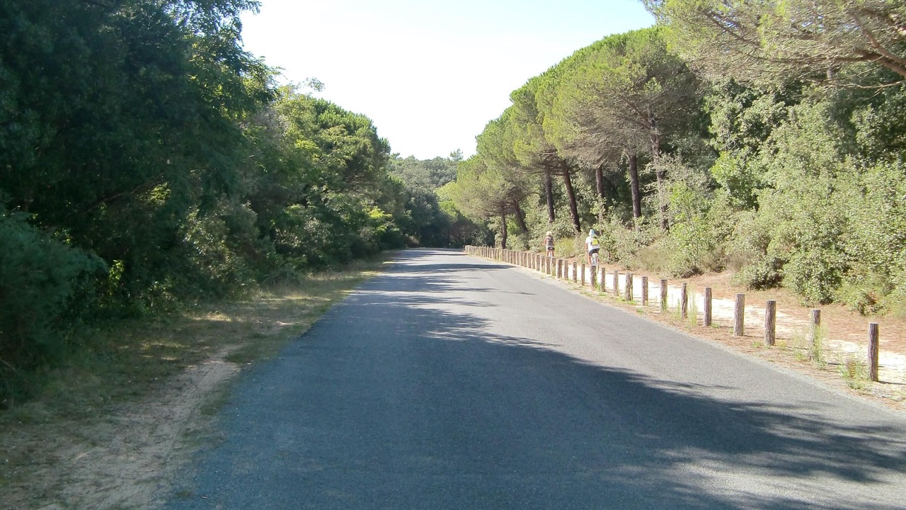 Photo of Outdoor in Saint-Georges-d'Oleron