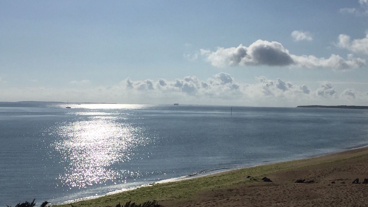 Photo of Others in Saint-Georges-d'Oleron
