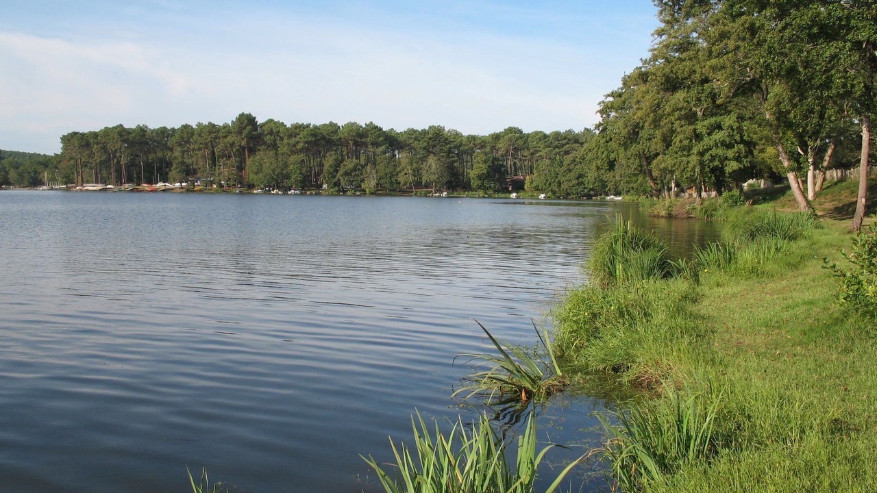 Photo of Outdoor in Mimizan