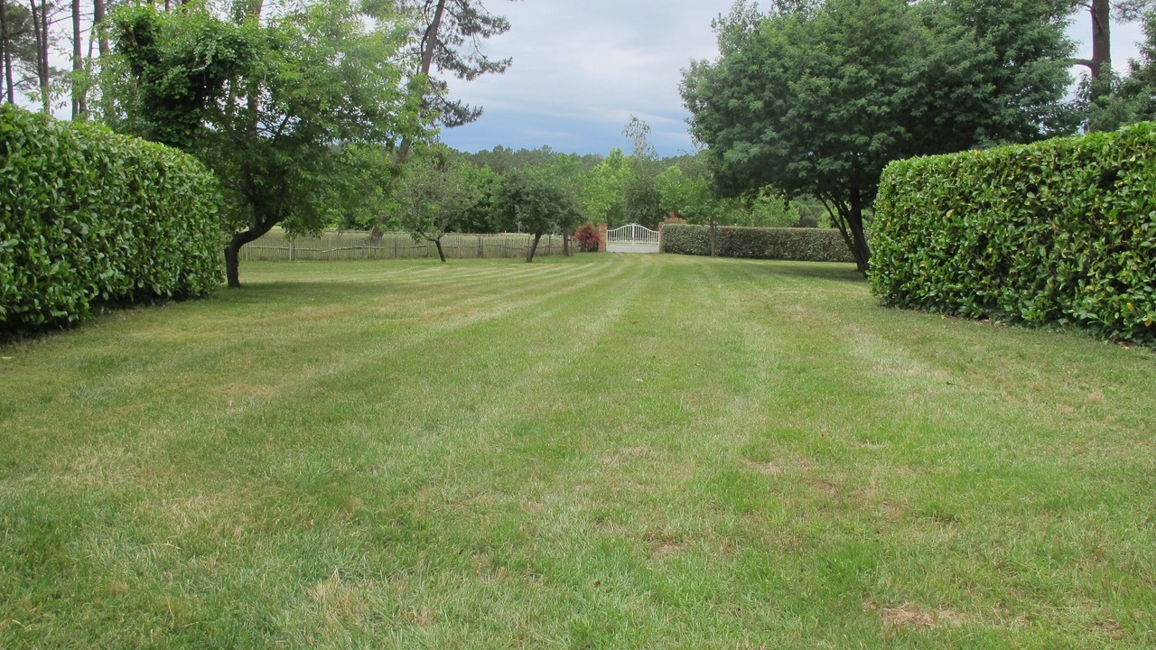Photo of Outdoor in Mimizan