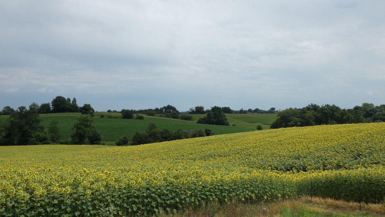 Photo of Others in Pouillon