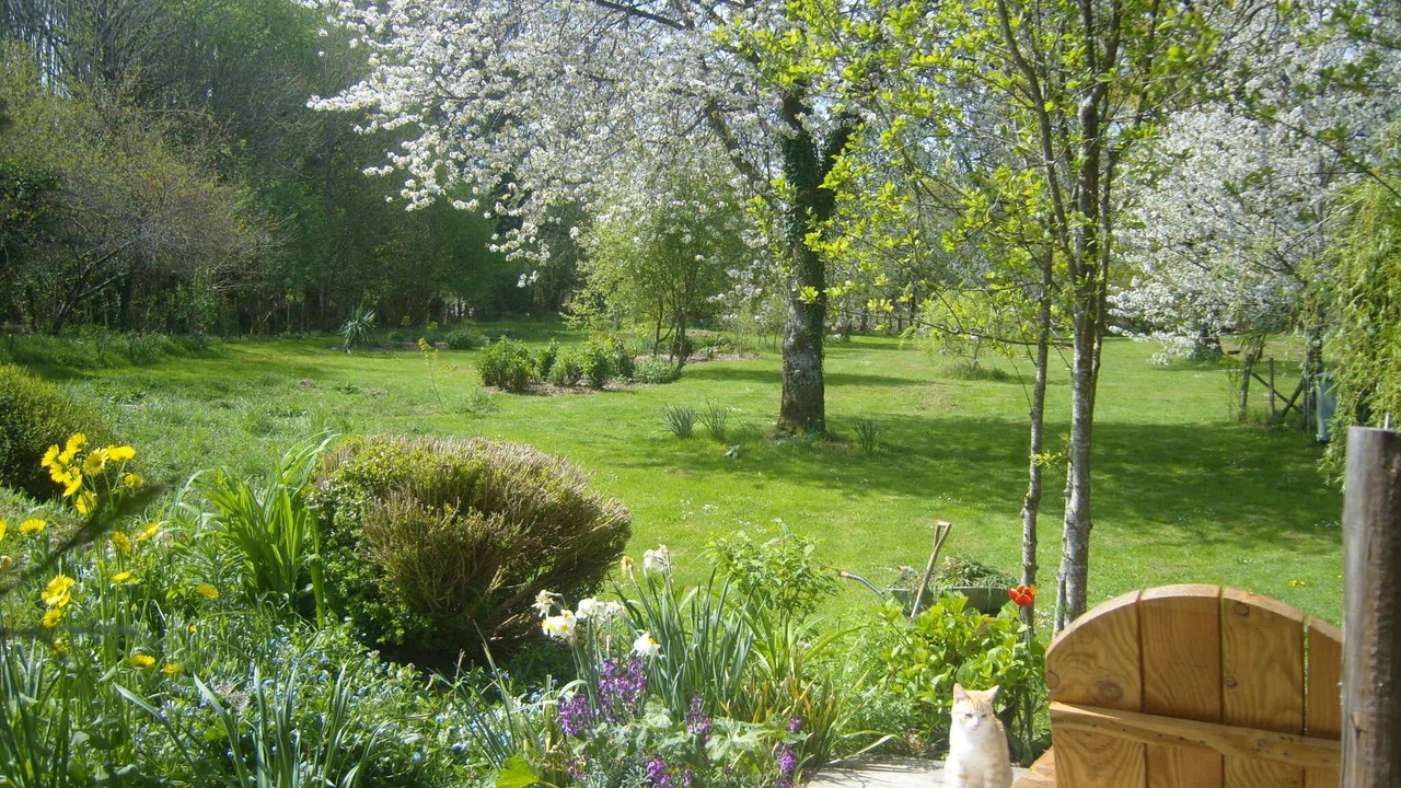 Photo of Outdoor in La Chapelle Montbrandeix