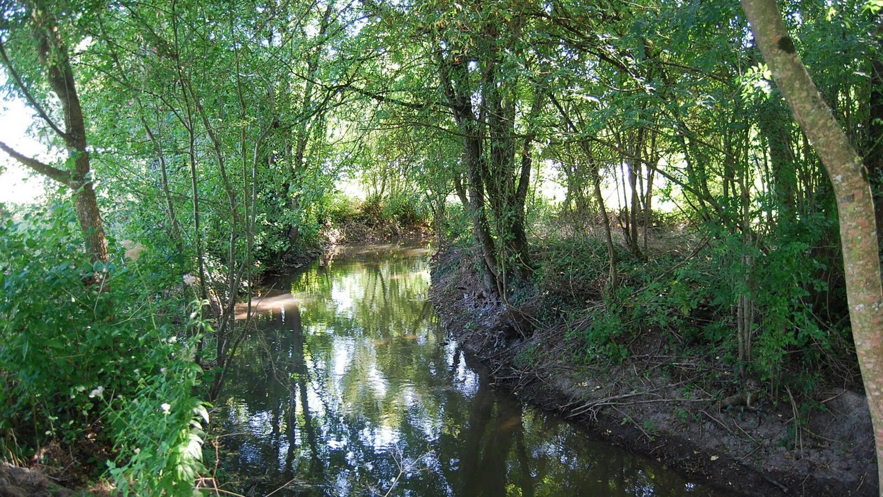 Photo of Others in Saint-Germain-de-Vibrac