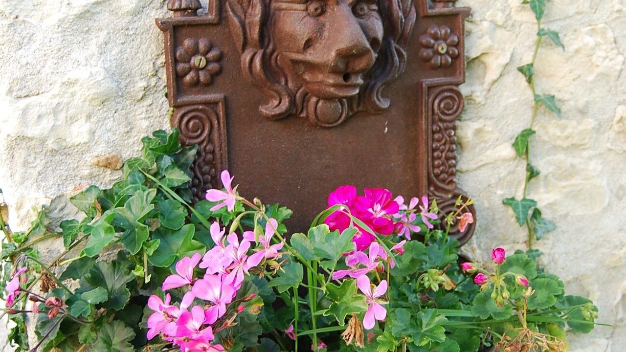 Photo of Outdoor in Saint-Germain-de-Vibrac