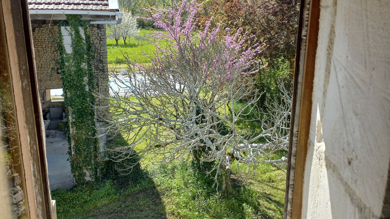 Photo of Others in Saint-Germain-de-Vibrac