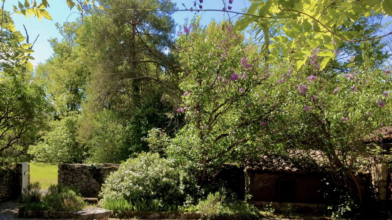 Photo of Others in Tremolat