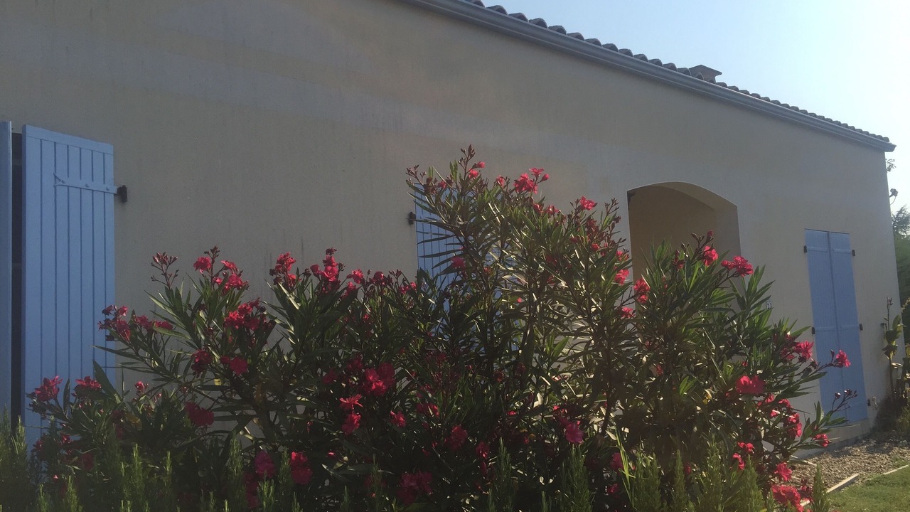 Photo of Outdoor in Mortagne-sur-Gironde