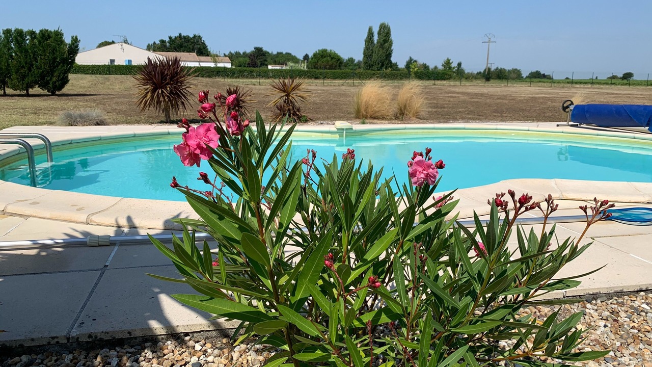 Photo of Outdoor in Mortagne-sur-Gironde