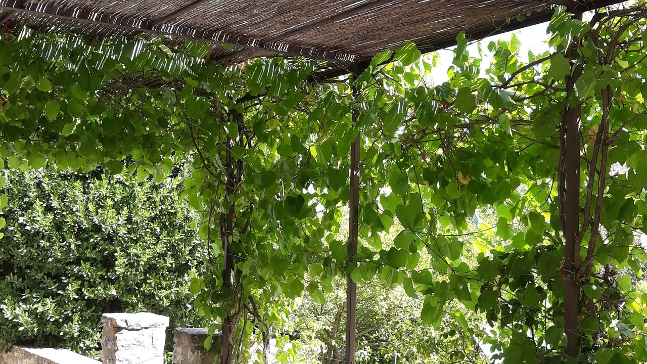 Photo of Outdoor in Murs