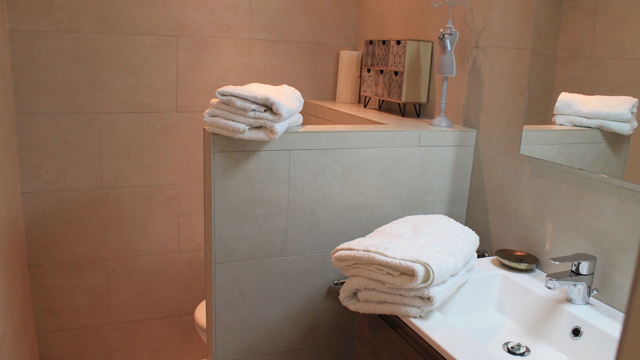Photo of Bathroom in Murs