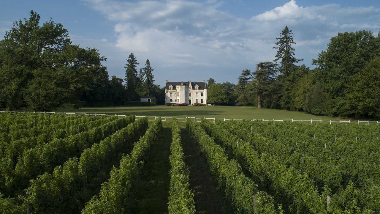 Photo of Outdoor in Sadirac