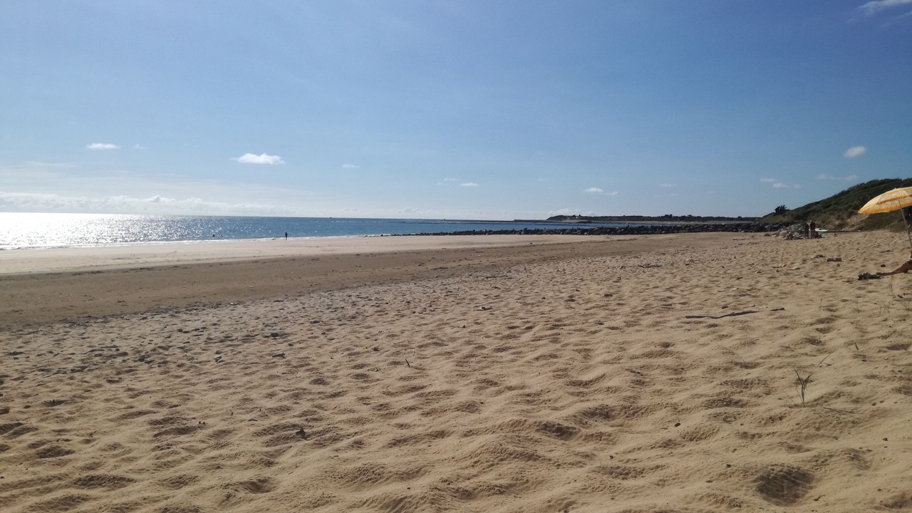 Photo of Others in Dolus-d'Oleron