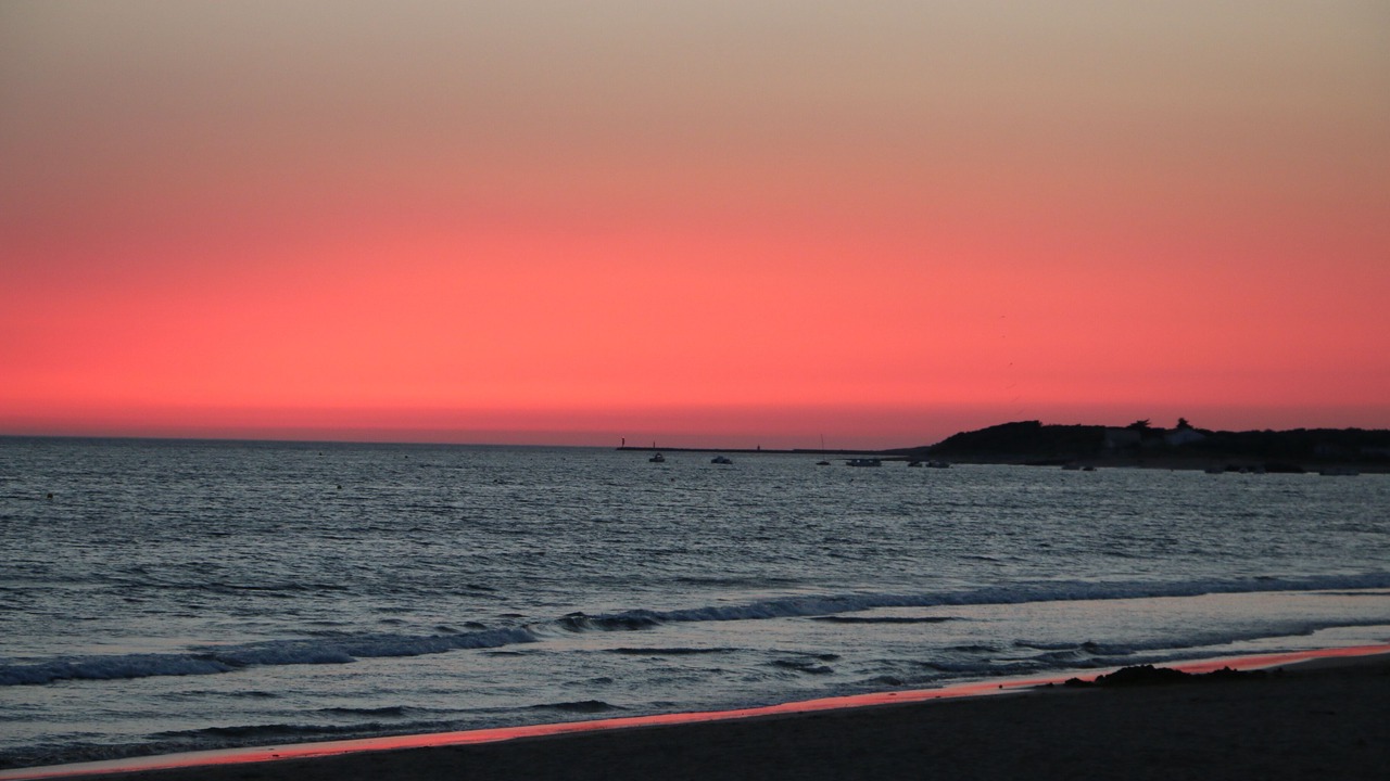 Photo of Others in Dolus-d'Oleron