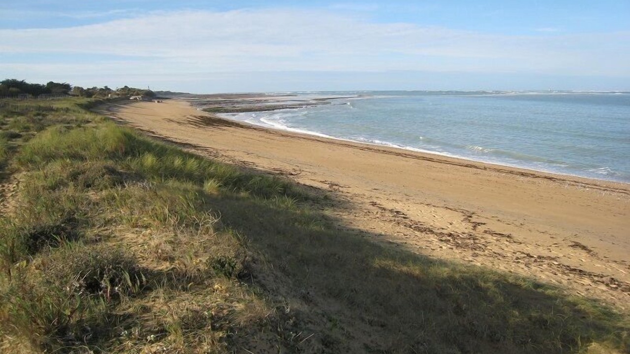 Photo of Others in Saint-Denis-d'Oleron