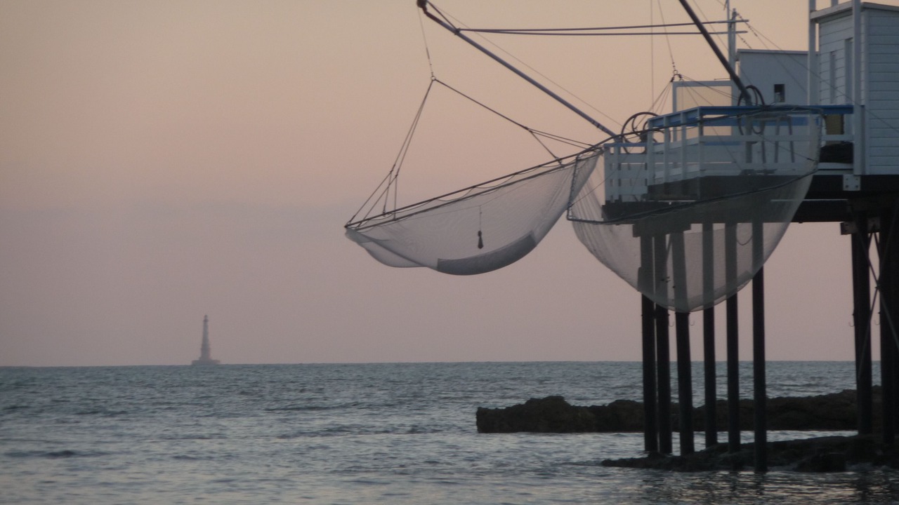 Photo of Others in Saint-Palais-sur-Mer