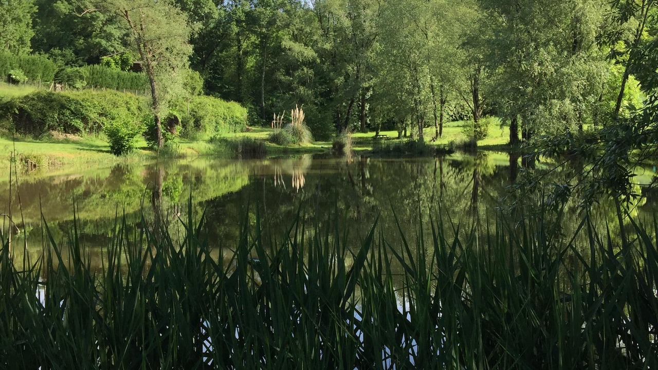 Photo of Outdoor in Saint-Martin-de-Gurson