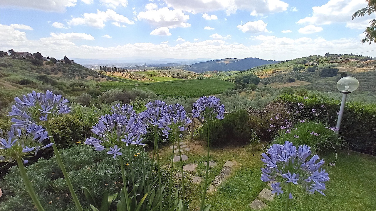 Photo of Outdoor in Carmignano