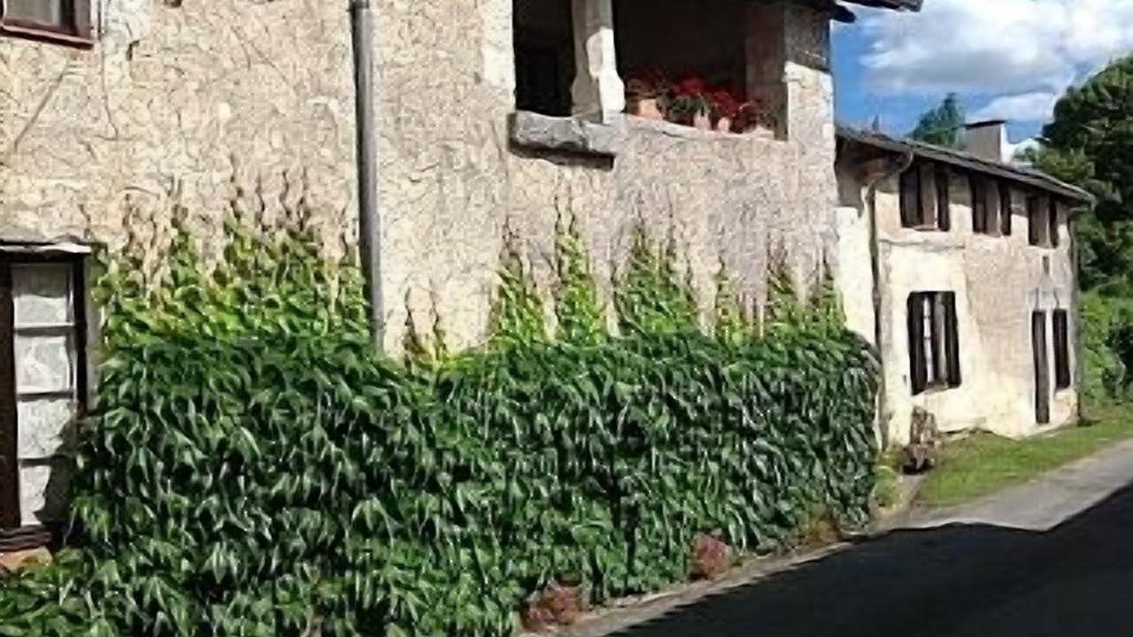Photo of Others in Pillac