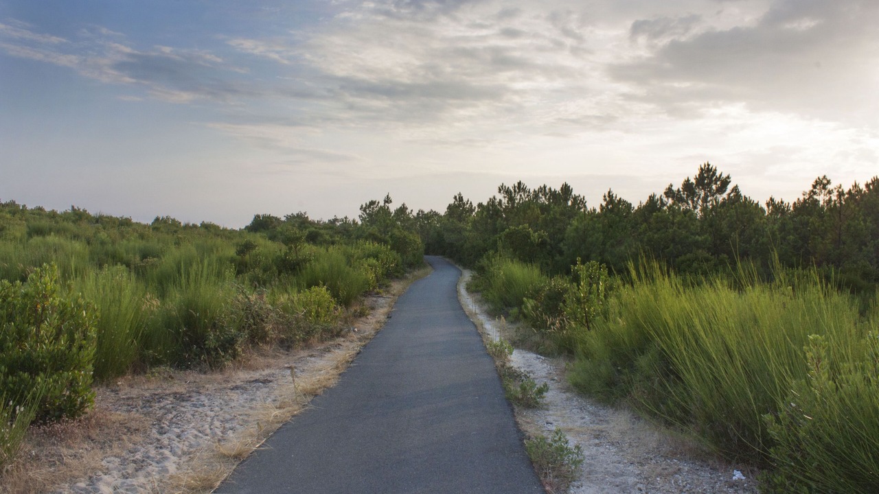 Photo of Outdoor in Piraillan