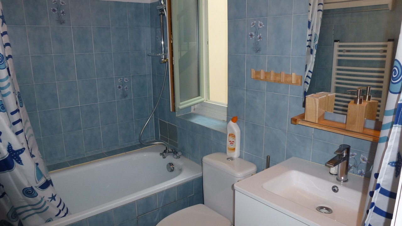 Photo of Bathroom in Bayonne
