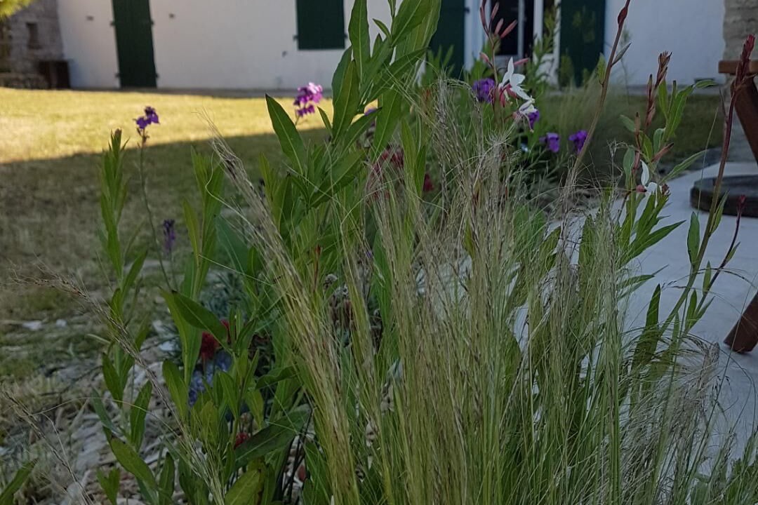 Photo of Outdoor in Domino