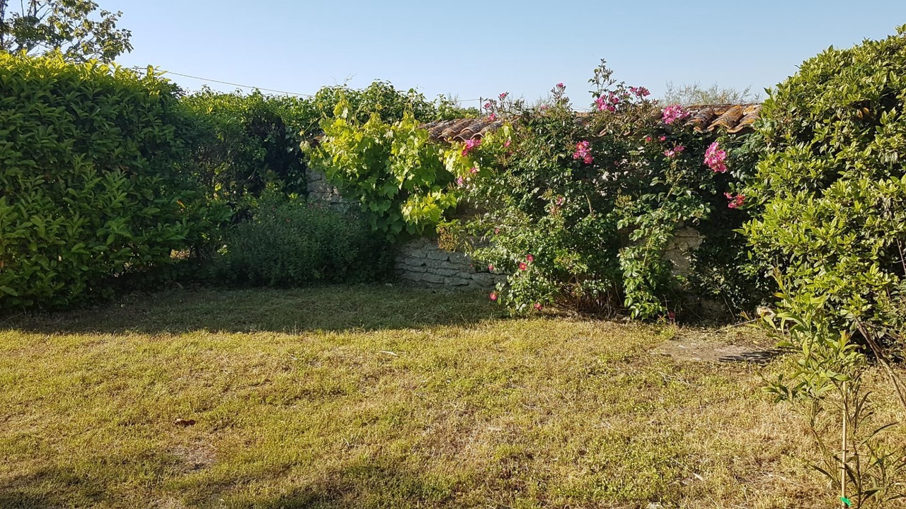 Photo of Outdoor in Domino